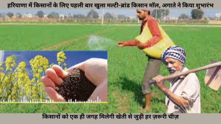 Your paragraph text (42)