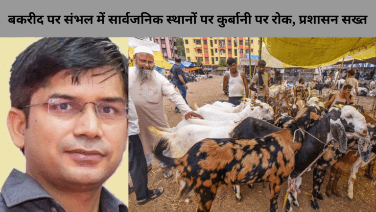 Your paragraph text (17)