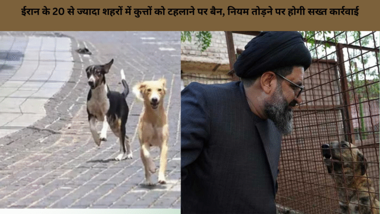 ईरान के 20 से ज्यादा शहरों में कुत्तों को टहलाने पर बैन, नियम तोड़ने पर होगी सख्त कार्रवाई