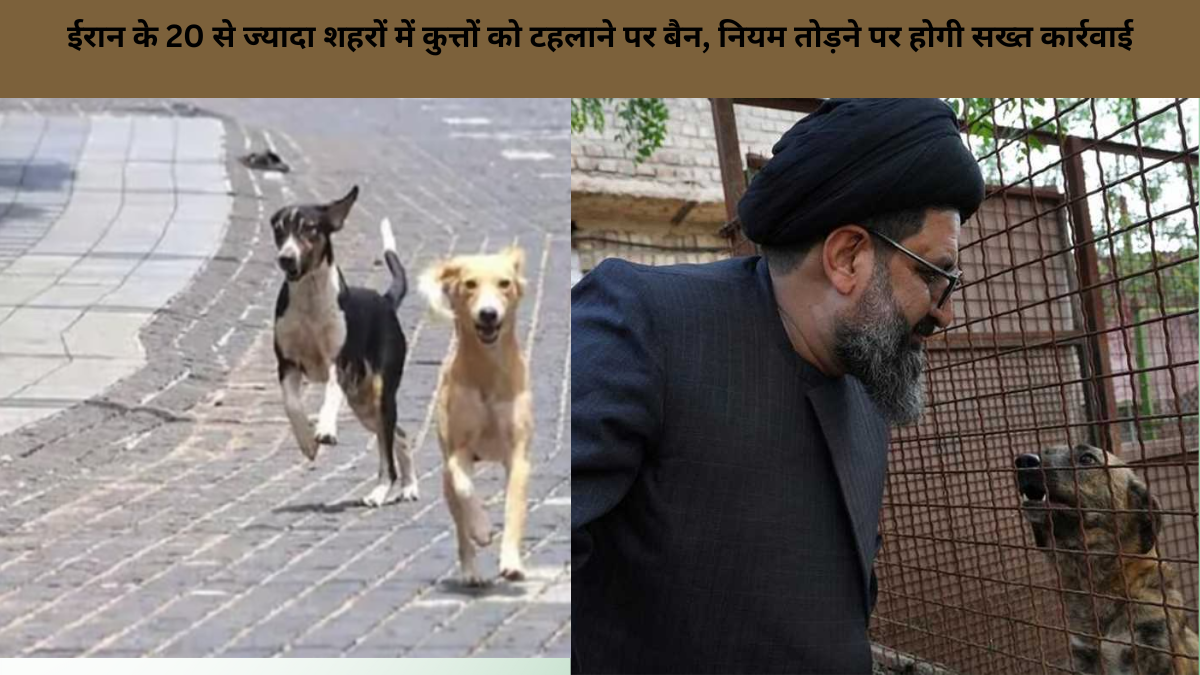 ईरान के 20 से ज्यादा शहरों में कुत्तों को टहलाने पर बैन, नियम तोड़ने पर होगी सख्त कार्रवाई