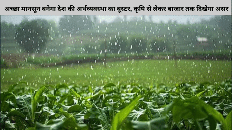 अच्छा मानसून बनेगा देश की अर्थव्यवस्था का बूस्टर, कृषि से लेकर बाजार तक दिखेगा असर